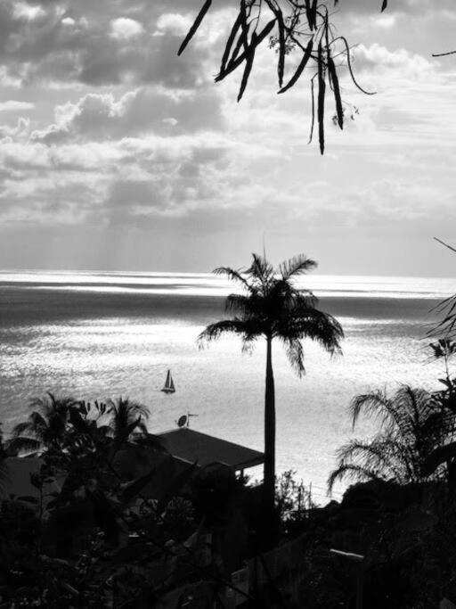 Ti Sucrier Jaune - Douceur Caraibe Vue Mer Le Carbet Exterior foto