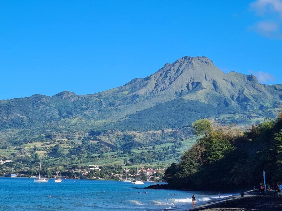 Ti Sucrier Jaune - Douceur Caraibe Vue Mer Le Carbet Exterior foto
